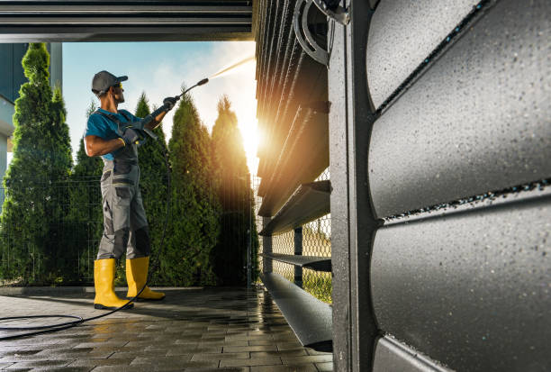 Best Roof Cleaning and Mildew Removal in Shelbyville, TN